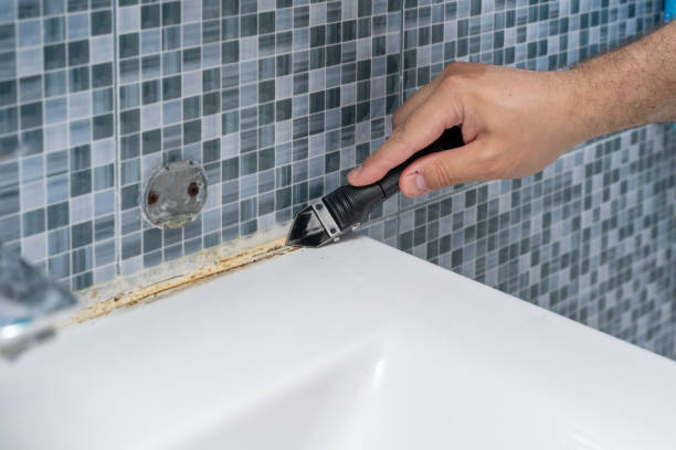 Best Mold Remediation  in Wiggins, CO
